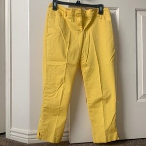 New York and company size 4 business casual capris